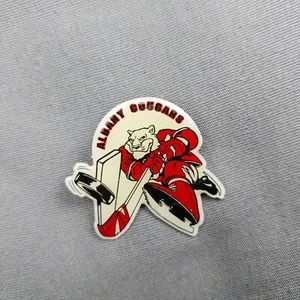 Albany Cougars Hockey Team Albany NY New York Reversmütze Jacke Schlüsselband Pin - Bild 1 von 2