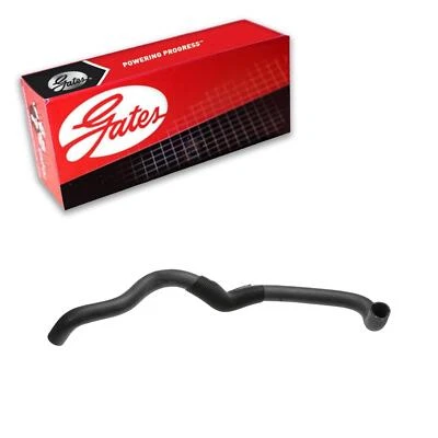 Manguera de refrigerante de radiador Gates inferior para Dodge Caravan 1996-2000 3L V6 GAS Foto 1 de 3