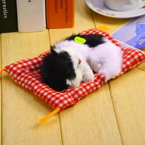 Realistic Black White Cat Stuffed Animal Plush Toy for Kids - Picture 1 of 9