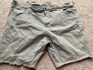 NWOT American Eagle Grey Denim Shorts Distressed Sz 48 Mens Stretch - Picture 1 of 4