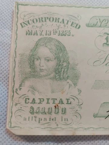 Bank Check Mount Joy Savings Institution 1859 Beautiful Green Vignette Cover