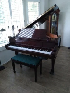 Young Chang G-150 Baby Grand Piano - Picture 1 of 2