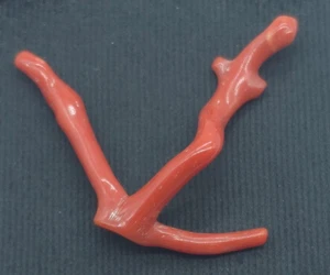 Antique Red Coral Polished Branch Natural Italian Coral New Arrival Gemstone - Picture 1 of 9