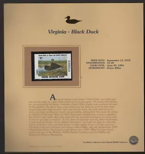 VIRGINIA: BLACK DUCK STATE DUCK STAMP 1993 ON FLEETWOOD DISPLAY PAGE, MINT NH - Picture 1 of 1