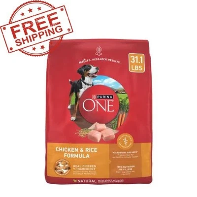 Adult Chicken & Rice Dry Dog Food, 31.1 lb Bag – Natural Nutrition Formula - Image 1 of 4