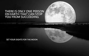 OFFICE WORK HOME SUCCESS MOTIVATION THERE IS ONLY ONE PERSON MOON GIFT PHOTO - Picture 1 of 1