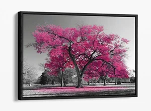 ROSA BAUM, SCHWARZ & WEISSER HINTERGRUND - SCHWEBEEFFEKT GERAHMTER LEINWANDKUNSTDRUCK - Bild 1 von 12