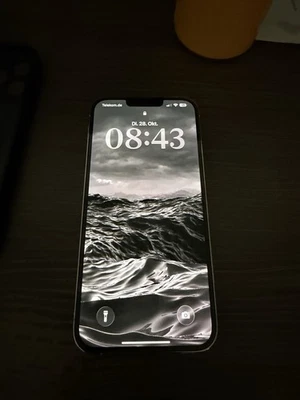 iPhone 13 Pro Max 128GB Weiß - Bild 1 von 4