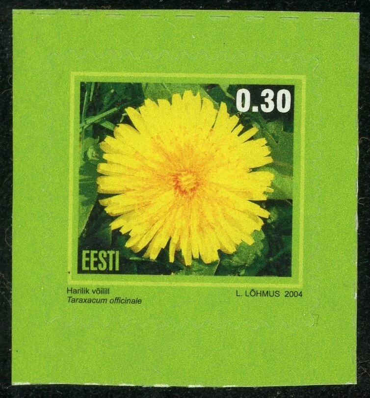 Estampilla postal Estonia #494 flores de diente de león común 0,30 k 2004 Eesti MLH Foto 1 de 1
