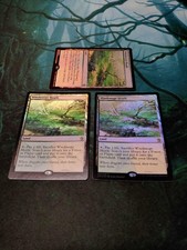 MTG Windswept Heath foil English version 3 piece set NM