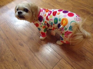 Haustier Hunde Schlafanzug, bunte Doo-Dads, groß für kleine Rassen * (Größendetails lesen) - Bild 1 von 6