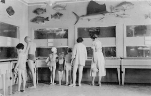 Postal de personas interiores ocupación acuario Rockport Texas 1955 25-5511 - Imagen 1 de 2