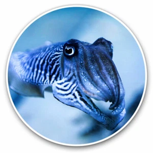 2 x Vinyl Stickers 30cm - Cuttlefish Squid Octopus Cool Gift #3221 - Afbeelding 1 van 9