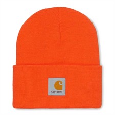 Cappelli da uomo Carhartt | Acquisti Online su eBay