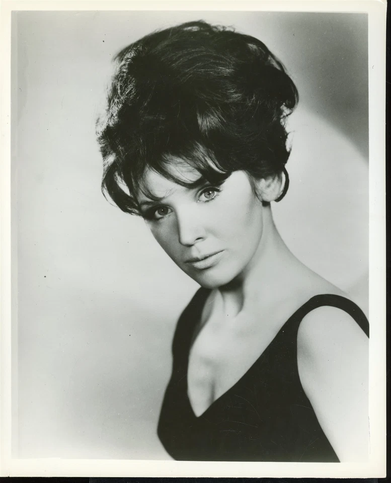 SUSAN ANSPACH Original 1960s Beautiful Sexy 8 x 10 Glamour Press Photo vv - Image 1 of 1