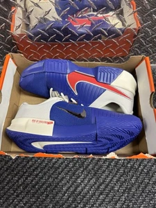 🔥Nike GP Challenge Pro HC Premium Deep Night Crimson HJ6767-500 Men’s Size 11.5 - Picture 1 of 10