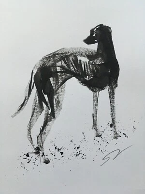 Boceto a tinta original firmado de Whippet Greyhound Lurcher A4 aprox. Foto 1 de 4