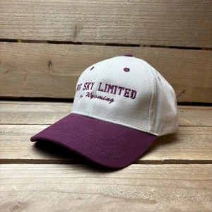 Vintage Big Sky Limited Of Wyoming Brown Strapback Outdoor Trucker Hat Cap - Picture 1 of 8