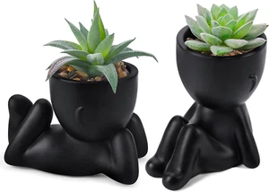 Set of 2 Fake Plants Artificial Succulent Plants for Office Desk Accessories Bla - Picture 1 of 12