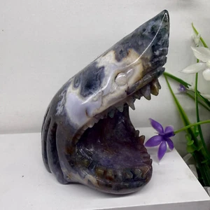 400g diaspro naturale oceano piranha intagliato cristallo Reiki teschio decorazione guarisci - Foto 1 di 8