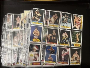 144 Vintage 1985 WWF Trading Card Lot Titan Sports Hulk Hogan - Foto 1 di 17
