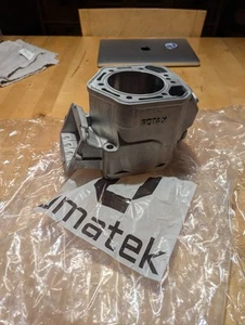 Skidoo Cylinder 420923811 2001-2002 MXZ 800 summit 800 Jug 420923817 - Picture 1 of 5
