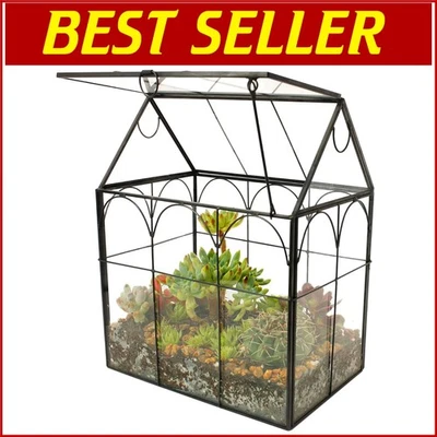 Hinged Roof Irregular Glass Terrarium for Indoor Succulents - 7.13 in Size - Image 1 of 4