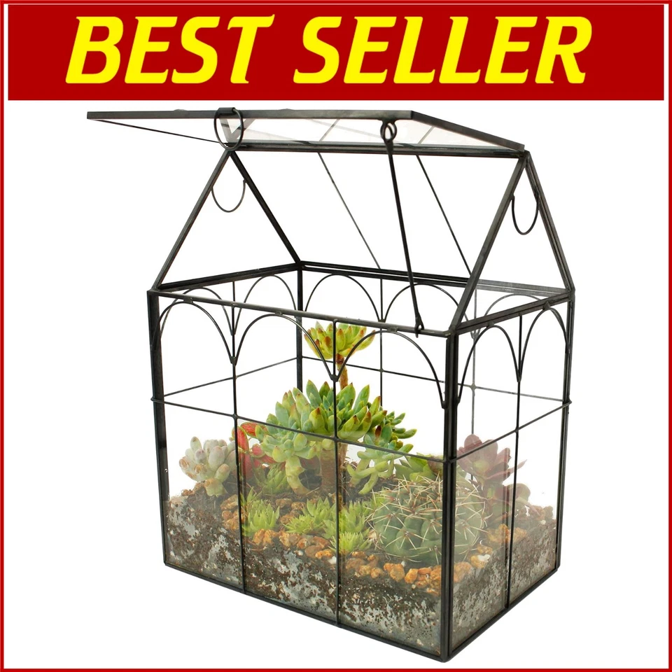 Hinged Roof Irregular Glass Terrarium for Indoor Succulents - 7.13 in Size - Image 1 of 4