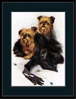 96558 English Brussels Griffon Dog Dogs Puppy Puppies Decor Wall Print Poster