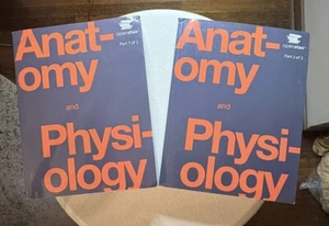 Anatomy and Physiology by OpenStax | Paperback | Volumes 1 & 2 Good Condition - Picture 1 of 6