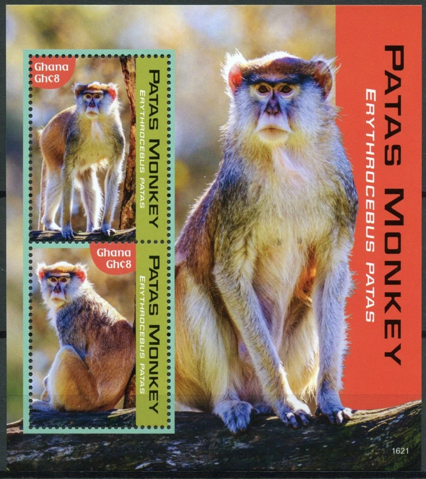 Ghana 2016 MNH Patas Monkey 2v S/S Monkeys Primates Wild Animals Stamps - Image 1 of 1
