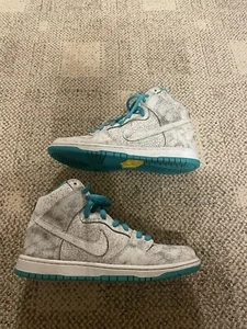 Size 9.5 - Nike Dunk Premium SB High Flamingo - Picture 1 of 9