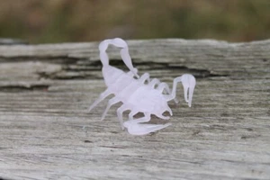 Pink Scorpion Glass Miniature, Animals Glass, Art Glass, Blown Glass, Sculpture - Picture 1 of 8