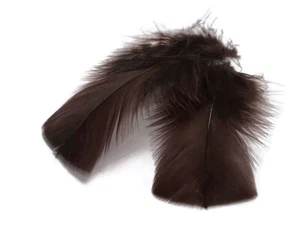 1 Pack - Brown Turkey T-Base Plumage Feathers 0.50 Oz. Fly Tying Sun Catcher - Picture 1 of 5