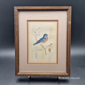 Vintage Helen Guymon Blue Bird Framed Art Print Signed Limited Edition 155/750 - Picture 1 of 20