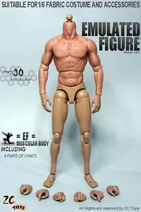 IN STOCK ZC Toys 1/6 Scale 2.0 Muscular Figure Body FOR Hot Toys TTM19 - Picture 1 of 4