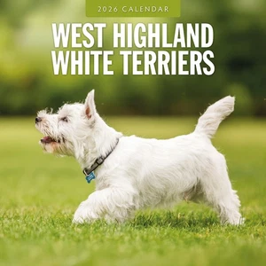 West Highland White Terrier 2026 quadratischer Wandkalender - Bild 1 von 6