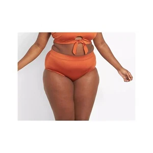 Lane Bryant Cacique Shimmer Swim Brief 18 - Picture 1 of 3