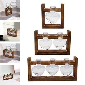 Glass Hydroponic Vase, Floral Arrangement, Propagation Pots for Shelf, Living - Picture 1 of 10