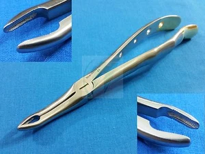 O.R GRADE SPECIAL PATTERN ROOT TIP DENTAL EXTRACTING EXTRACTION CURVED FORCEP - Picture 1 of 10