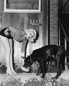 Jayne Mansfield 8x10 Movie Memorabilia Hollywood Actress - Picture 1 of 1