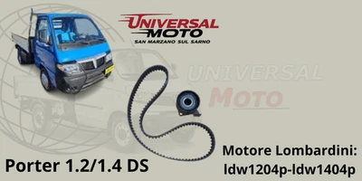 KIT CUSCINETTO + CINGHIA PORTER 1,2 - 1,4 DS (MOT LOMBARDINI) LDW1204P-LDW1404P - Immagine 1 di 2