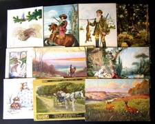 Animali- Lotto da 15 cartoline -