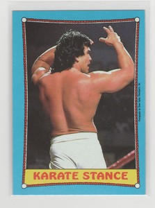 WWF / WWE 1987 Topps Ringside Action # 43 Karate Stance  Ricky Steamboat