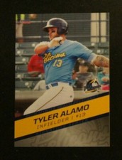 2018 Choice, Myrtle Beach Pelicans - TYLER ALAMO