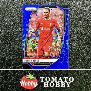 PANINI PRIZM PREMIER LEAGUE 2024-25 DARWIN NUNEZ /99 BLUE BREAKAWAY REFRACTOR - Picture 1 of 2