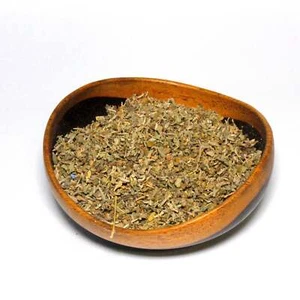 Damiana-Turnera Diffusa-Organic - Picture 1 of 1