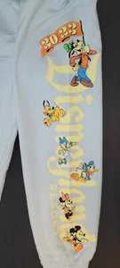 Brandneu - Erwachsene - Disney Resorts 2023 Mickey and Friends Jogginghose - hellblau - Bild 1 von 13