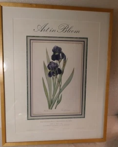 IRIS GERMANICA PIERRE JOSEPH REDOUTE MINNEAPOLIS ART INSTITUTE 1998 IMPRESIÓN - Imagen 1 de 9