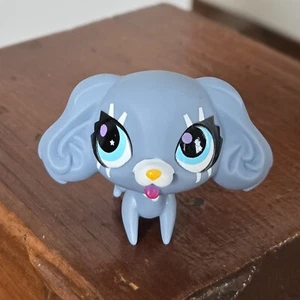 Littlest Pet Shop #2846 Cocker Spaniel perro gris ojos azules LPS - Imagen 1 de 6